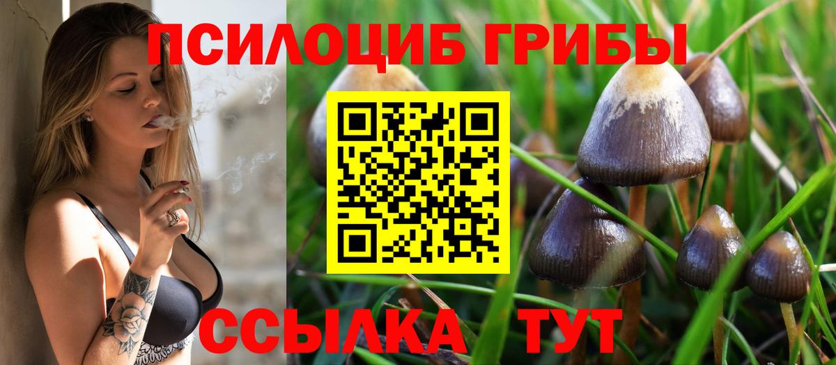 Дивногорск  Псилоцибиновые грибы MAGIC MUSHROOMS  что такое   Вход с VPN 